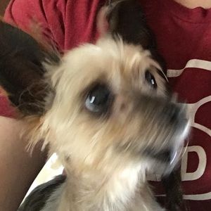 Meet your Posher, Kylie